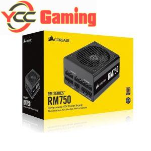 Nguồn Corsair RM Series RM750 - 750W (80 Plus Gold Certified Full Modular/Màu Đen)