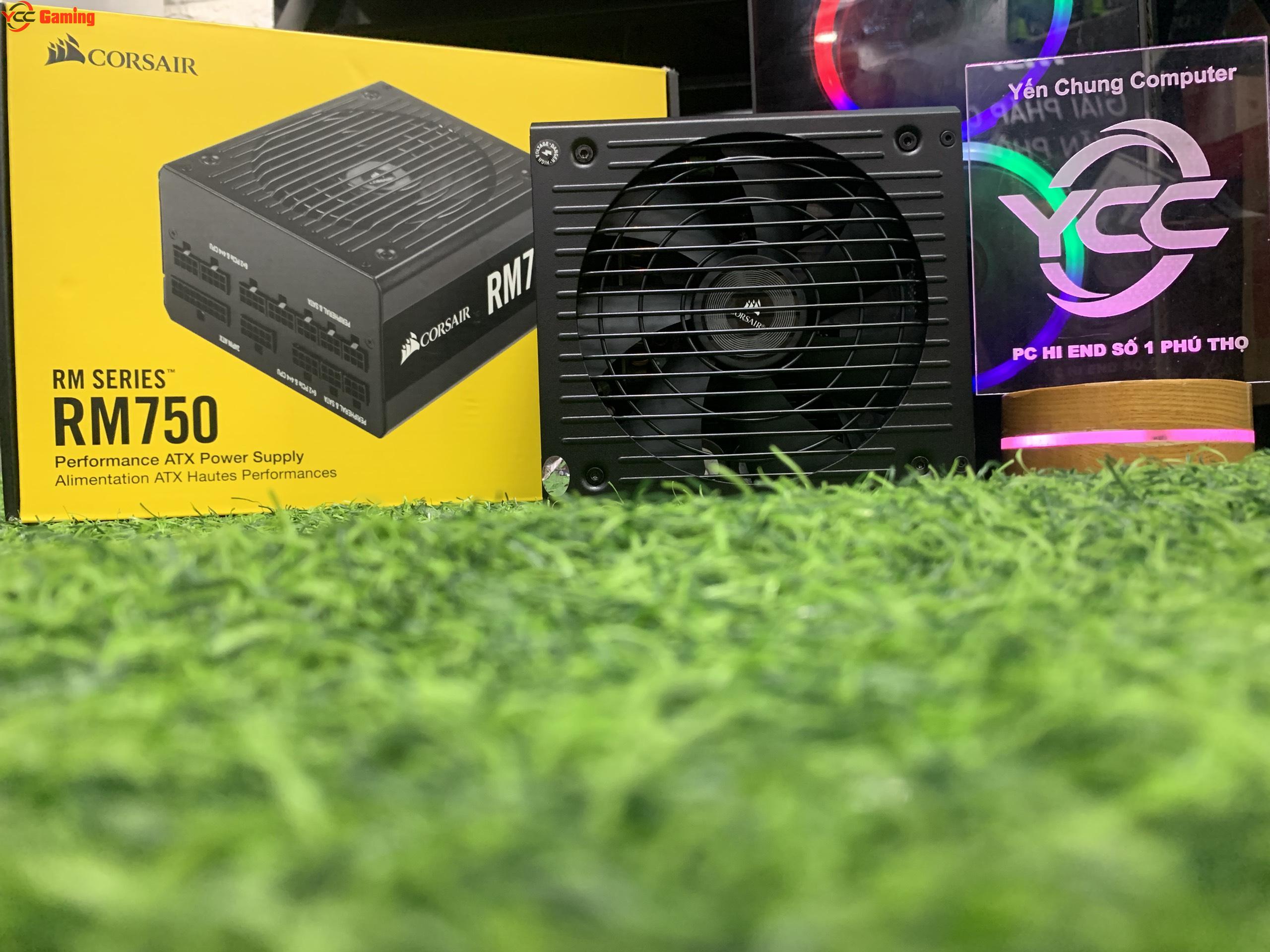 Nguồn Corsair RM Series RM750 - 750W (80 Plus Gold Certified Full Modular/Màu Đen) - Ảnh 5